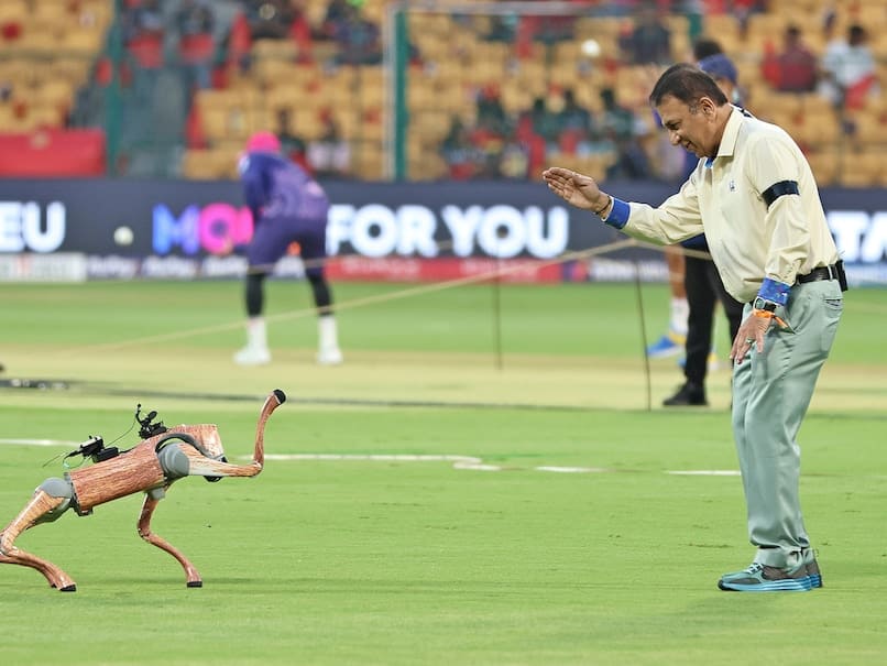 BCCI Sued After Naming IPL Robotic Dog ‘Champak’ – Everything You Need To Know BCCI Sued After Naming IPL Robotic Dog ‘Champak’ – Everything You Need To Know